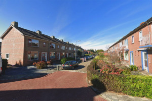 Sloop en renovatie in de Schilderswijk-Zuid