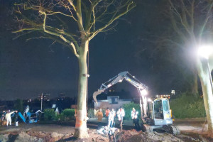 PvdA Krimpen blij met behouden boom